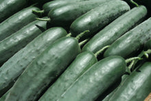 Učitajte sliku u pregledač Galerija, Brutus F1