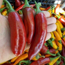 Učitajte sliku u pregledač Galerija, Szikra F1