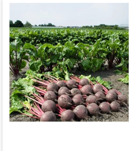 Translation missing: sr.sections.featured_product.gallery_thumbnail_alt