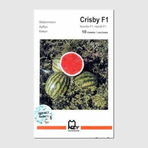Crisby F1