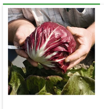 Translation missing: sr.sections.featured_product.gallery_thumbnail_alt
