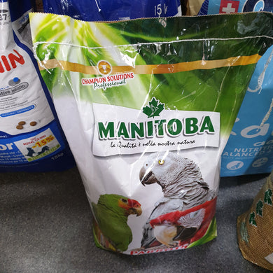 Manitoba African parrots