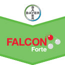 FALCON FORTE