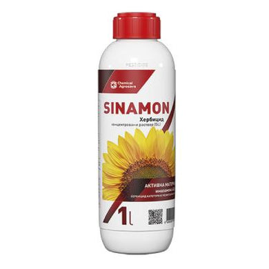 Sinamon
