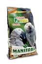Manitoba African parrots